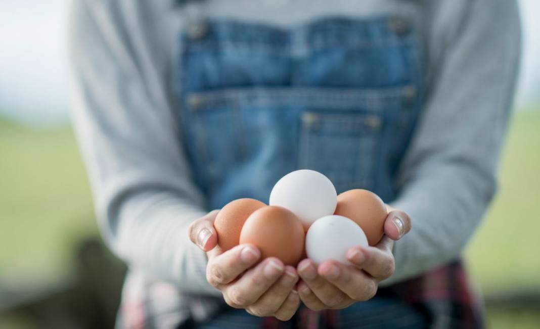 Beyaz mı kahverengi mi? Hangi yumurta daha sağlıklı? 5